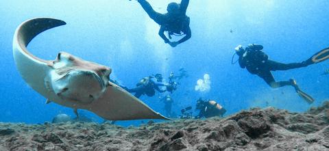 Buceo con título 6 imersiones/ 3 días