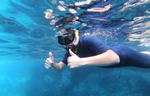 Salida Snorkeling/ sortie snorkeling