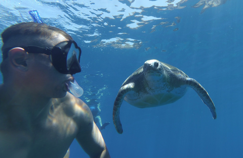 Salida Snorkeling/ sortie snorkeling